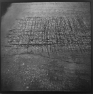 2000 Crosshatch II